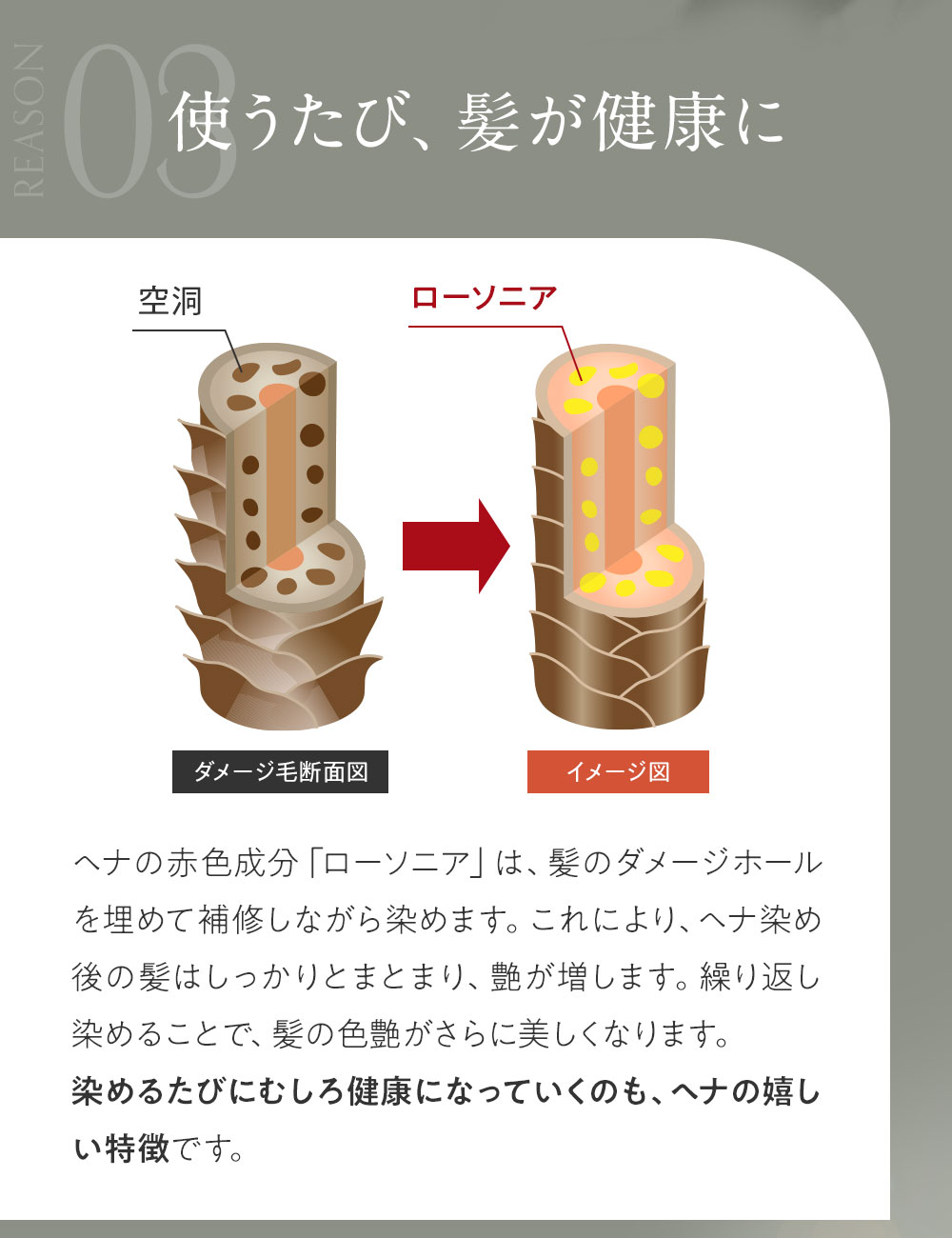 万能なトリートメント効果